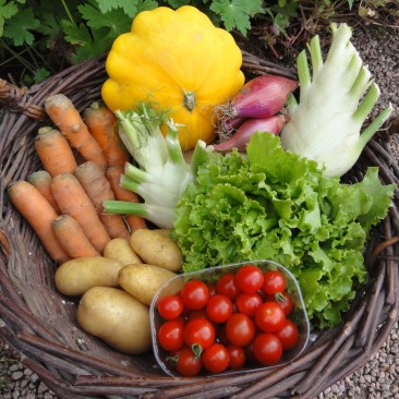 Du Verger au Potager